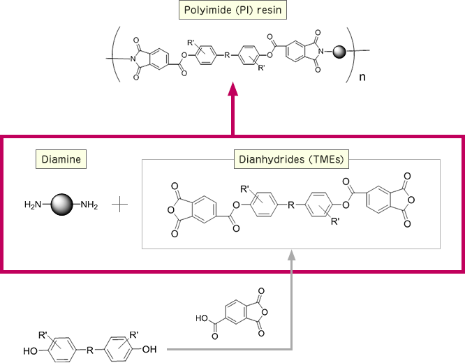 Ester type dianhydrides (TMEs)