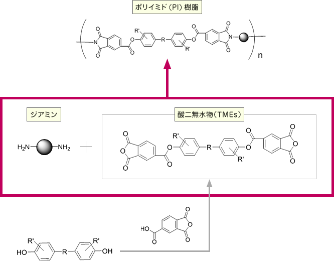 エステル型酸二無水物（TME）類